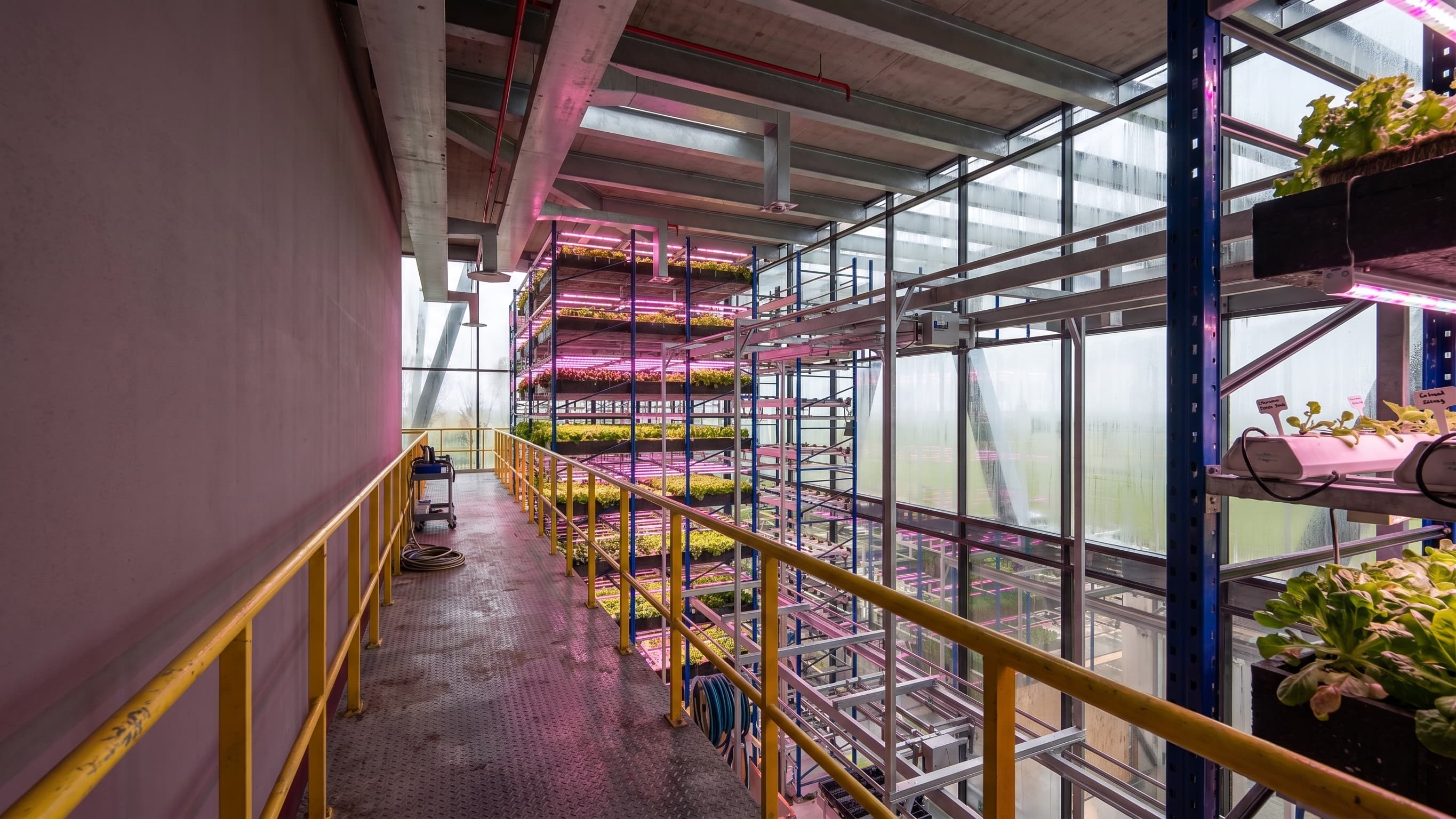 RPHV: Indoor growing racks and glazed facade